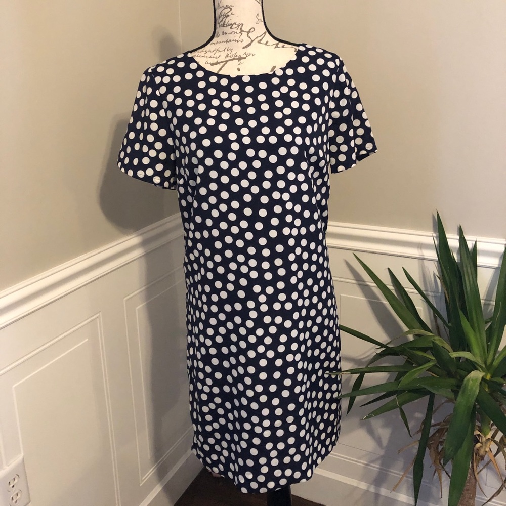 J Crew Dress